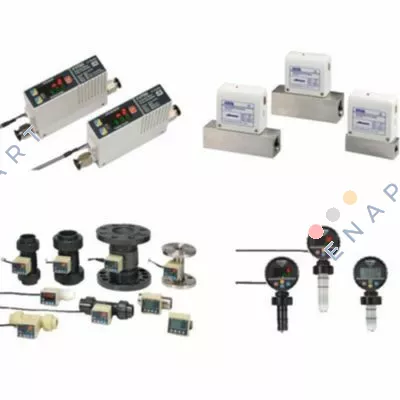 REP-125-1-C-003-AU25-FLT-AE24-P13-P-V1