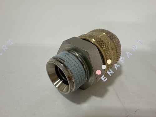 Z82/13XG3/8 (female)