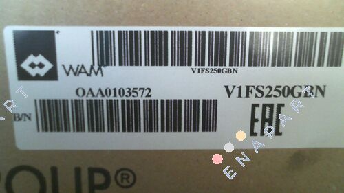 V1FS250GBN