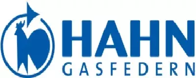 Hahn Gasfedern
