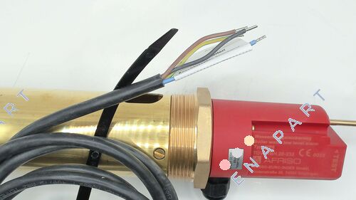 WMS-WP6 R2 interruptor de segurança