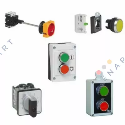 0165309LS Interruptor eletromecânico