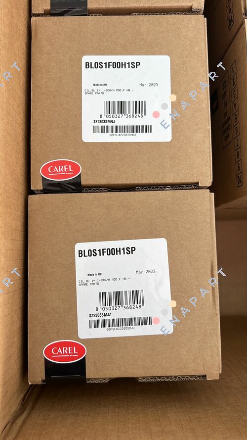 BL0S1F00H1SP CILINDRO