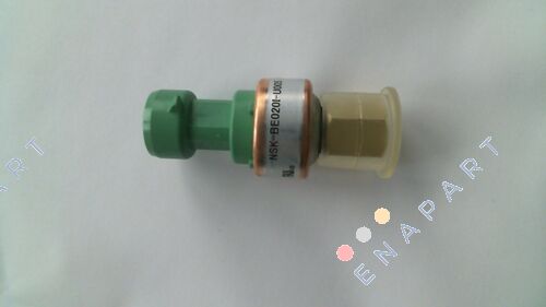 00PPG000030700A Transdutor