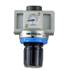 NR-500-03-NPT-PG10-L2