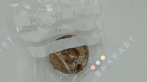 19FND459Z - FND 459 Z Unidade de embreagem de roda livre completa