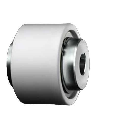 BoWex100SSR2022