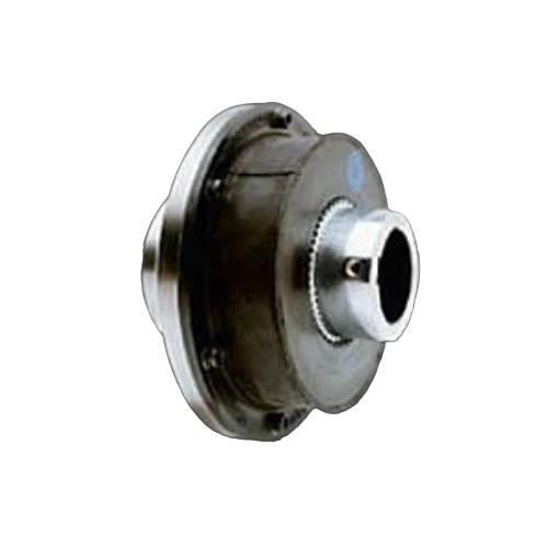 BoWex-ELASTICG65HE-ZST40770U