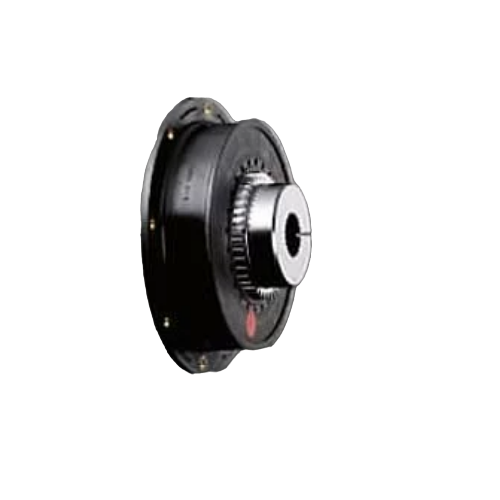 BoWex-ELASTICG80HE1T40870U