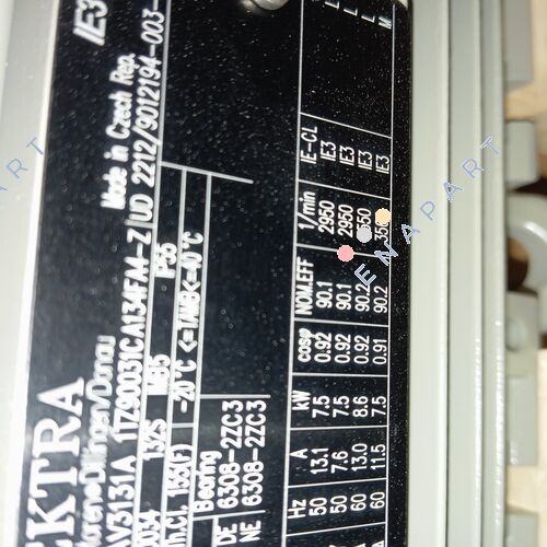 1TZ9003-1CA13-4FA4 motor trifásico
