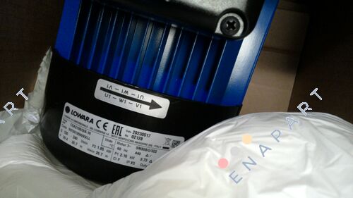 107331250VXXLL BOMBEAR