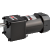 AC Small Gear Motors