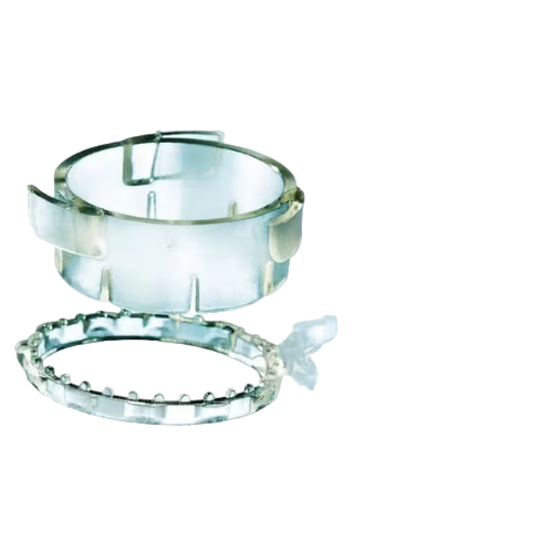 Cell Culture & Analysis