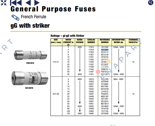 17419 / H212067 Fusível
