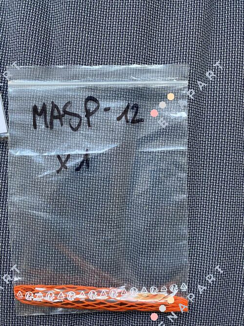MASP-12 