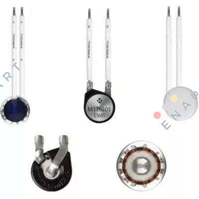 L01 100.05.0300/0300 Limitador de temperatura