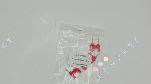 3031.1306B Plugue final